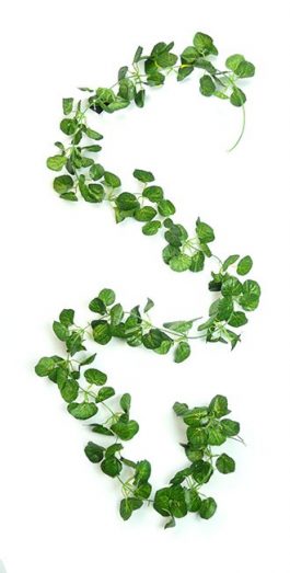 Roung Sweet potato leaf 210cm