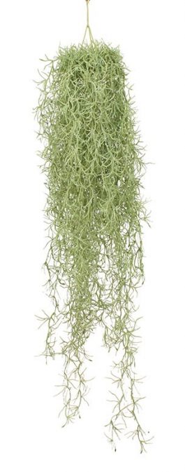 Spanish Moss Garland 75CM