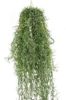 Spanish Moss Garland 75CM