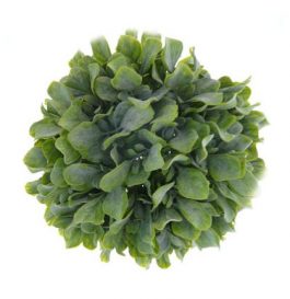 Leaf ball topiary 23cm