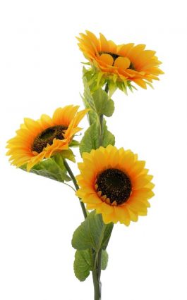 Lg 3Hs Sunflower 129cm