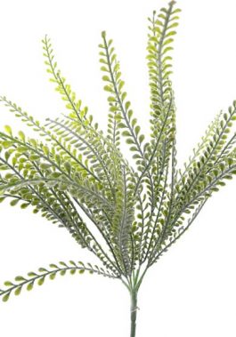 Fern leaf bush 45cm