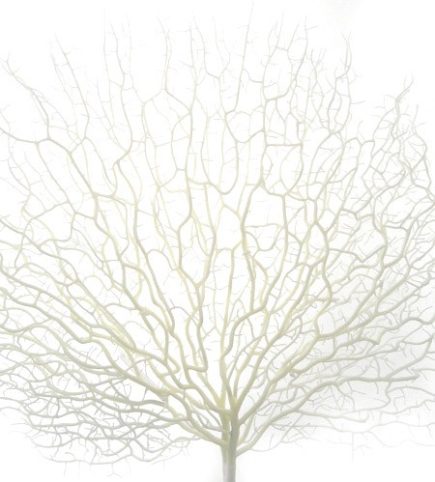 Fan-shaped twig 45cm