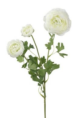 3H Ranunculus 61cm