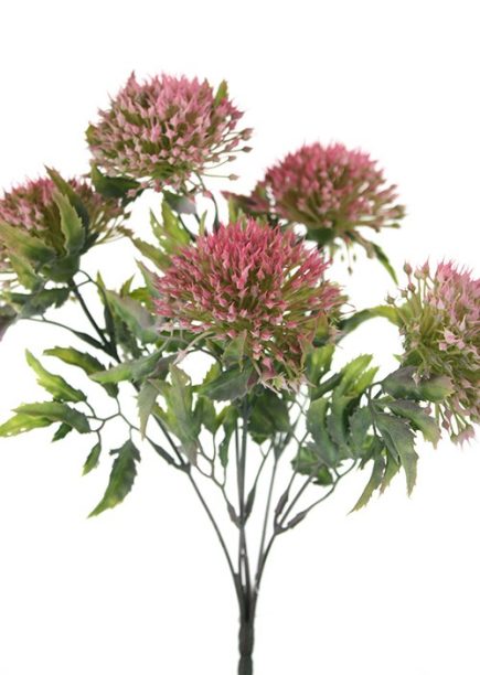 Gum Nut Flower Bush 32cm