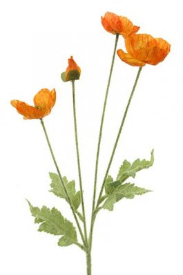 4H Poppy Stem 60CM