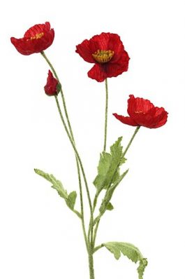 4H Poppy Stem 60CM