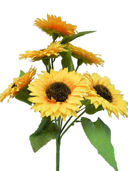 7Hs Sunflower Bush 56cm