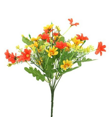 Mini daisy bush 30cm