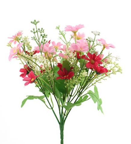 Mini daisy bush 30cm