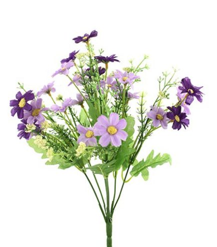 Mini daisy bush 30cm