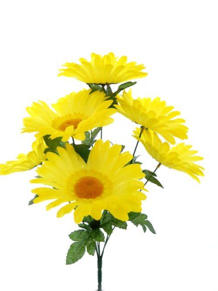 *7H Daisy bundle 40cm