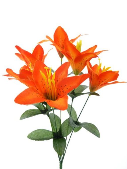 *6H Lily bundle 40cm