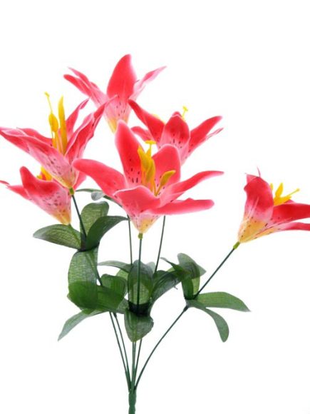 *6H Lily bundle 40cm