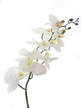 Latex phalaenopsis orchid 90cm