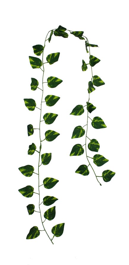 Ponthos Leaf Garland 180cm