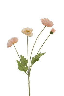 4H Poppy Stem 60CM