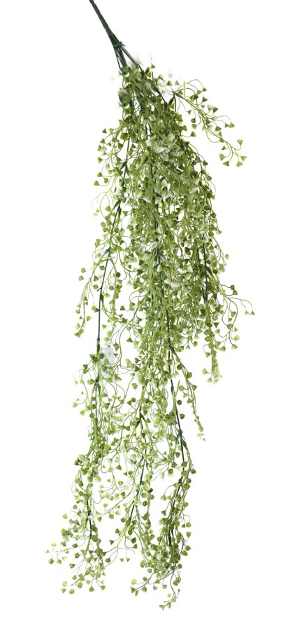 Hanging Baby Tear 85cm