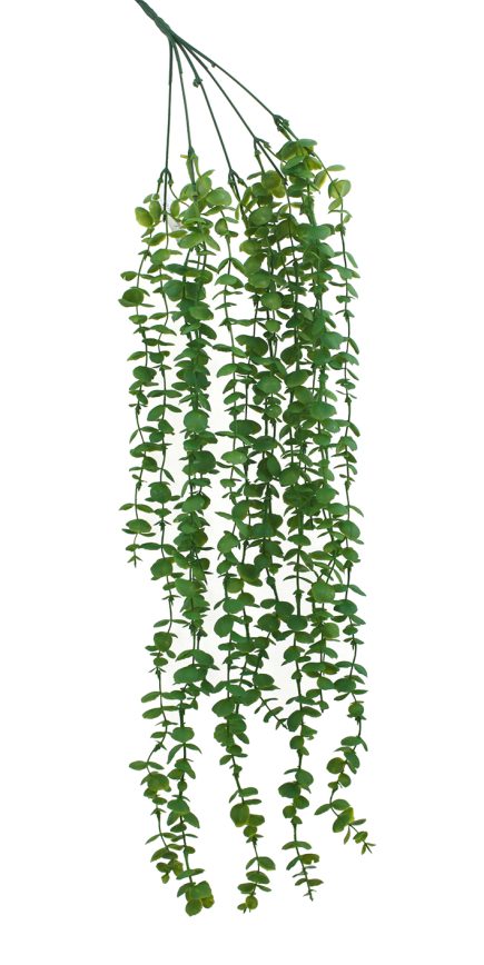 Eucalyptus Garland 78cm