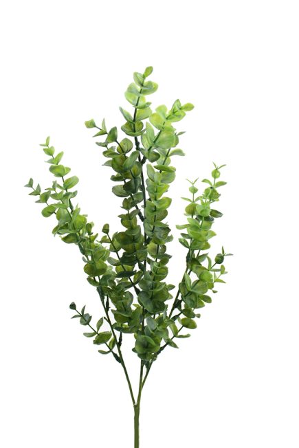 Eucalyptus Spray 65cm