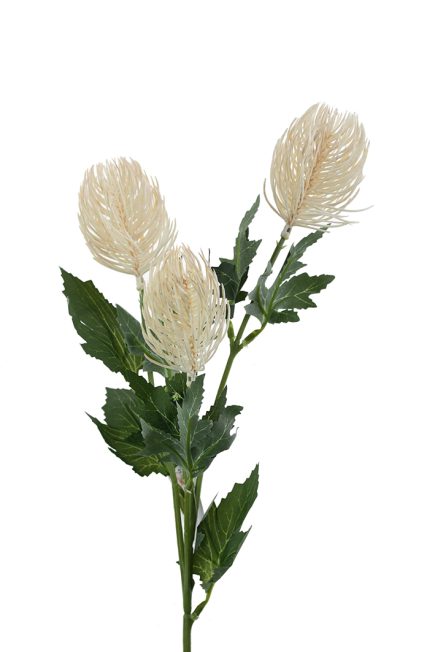 3H Banksia Spray 69cm