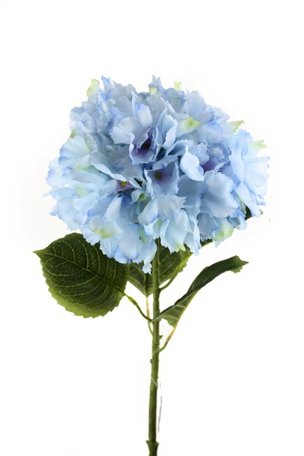 Hydrangea Stem 66cm