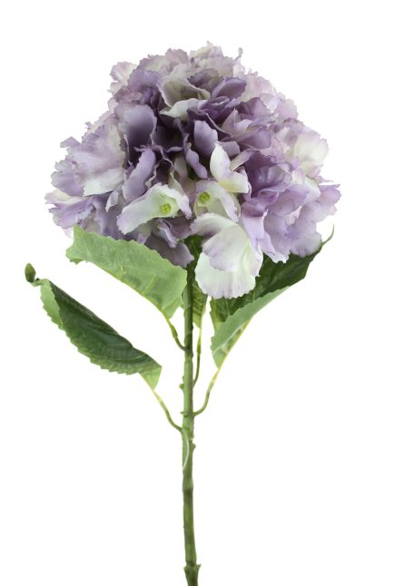 Hydrangea Stem 66cm