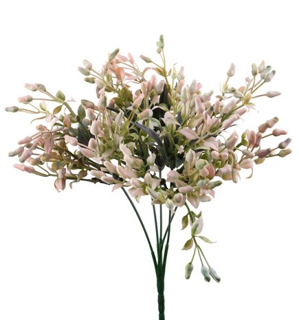 Seeded Nut Bush 30cm