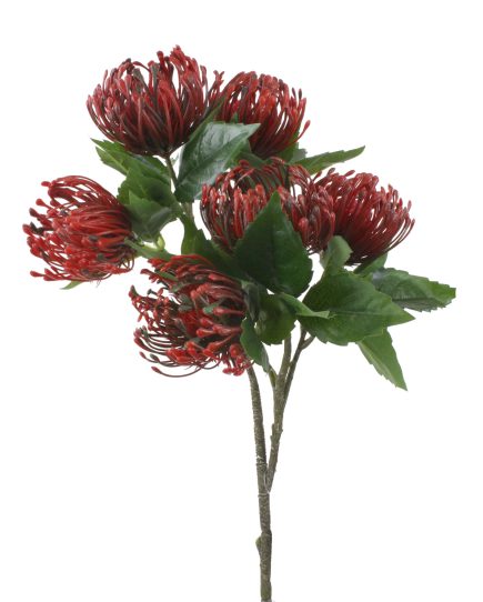Pincushion Protea Spray 52cm
