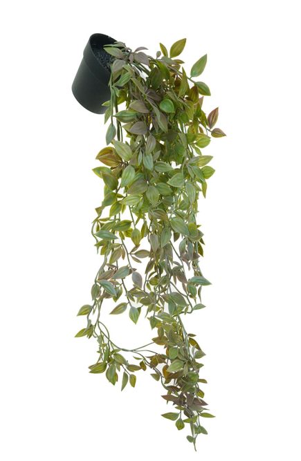 Hanging Leaf Bush w/pot 66cm