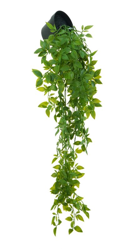 Hanging Leaf Bush w/pot 66cm