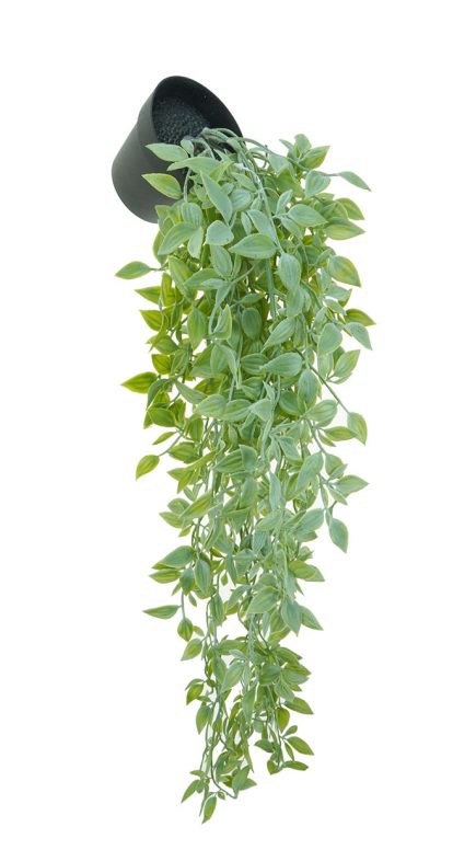 Hanging Leaf Bush w/pot 66cm