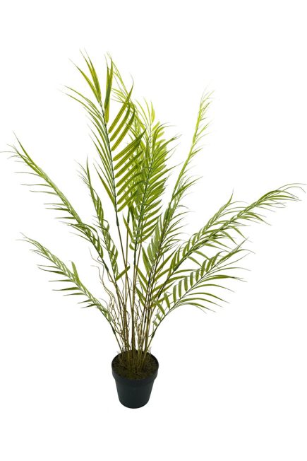 %Potted Palm Tree 80cm