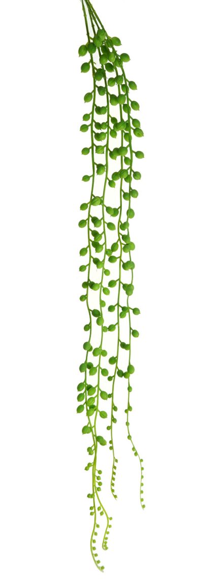 Hanging String Pearls 80cm