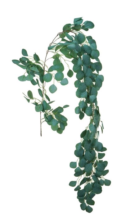 Eucalyptus Garland 186cm