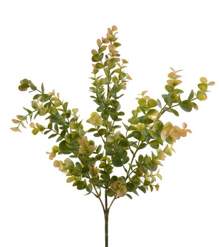 Eucalyptus Bush 50cm