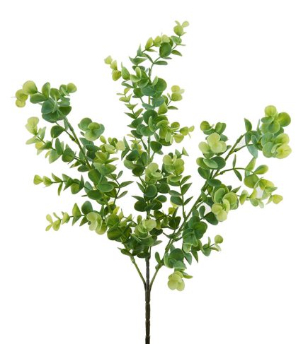 Eucalyptus Bush 50cm