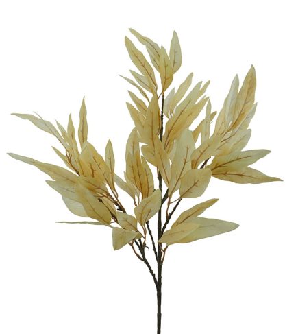 Lanceolate Leaf Bush  73cm