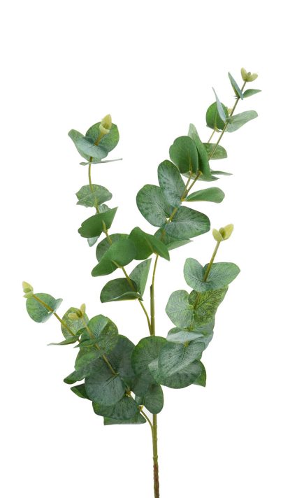 Eucalyptus Stem 88cm