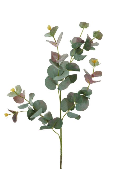 Eucalyptus Stem 88cm
