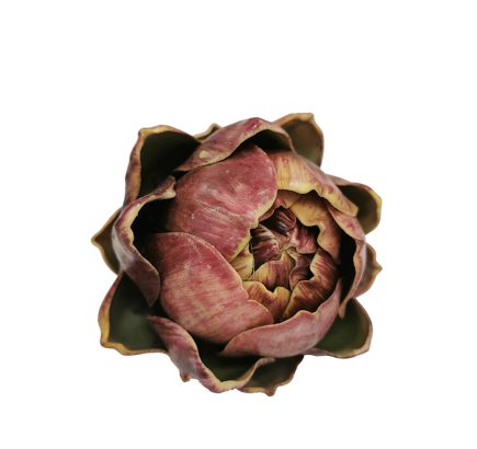 Artichoke Head 11cm