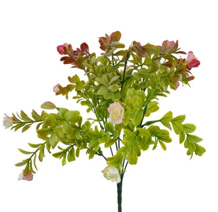 Mini Rose Bush 35cm