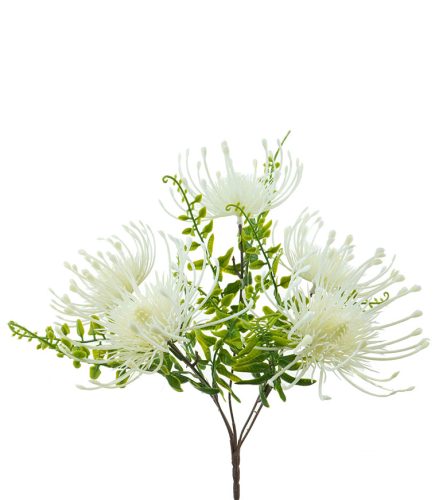 Pincushion Bush 33cm