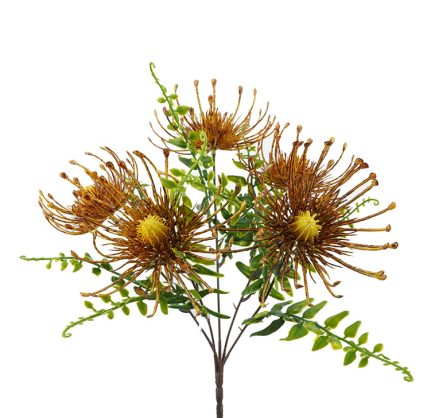 Pincushion Bush 33cm