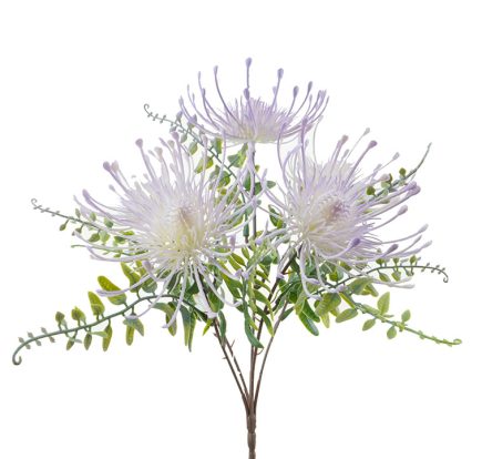 Pincushion Bush 33cm