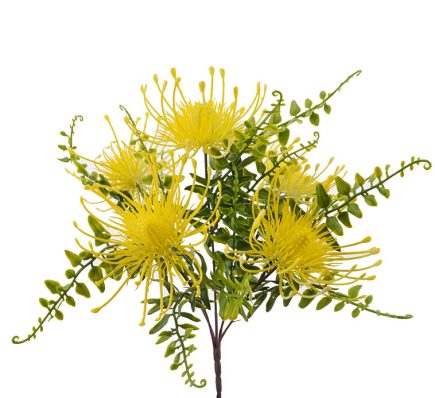 Pincushion Bush 33cm