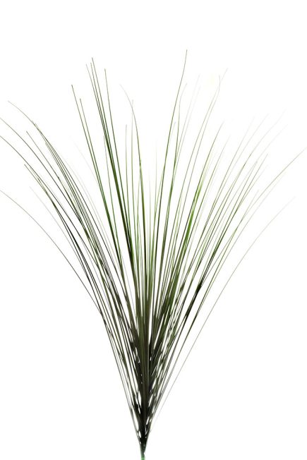 Grass Bush 145cm
