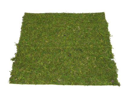 Square Moss Mat Sticker 40x45cm