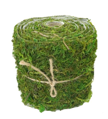 Moss Ribbon 10x200cm