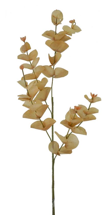 Dried Eucalyptus Stem 88cm